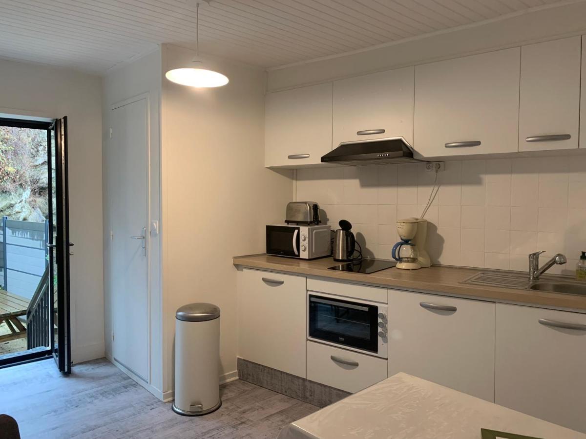 Appartement 4 Personnes, 1 Chambre, Terrasse, Wifi, Proche Du Centre La Bourboule Esterno foto